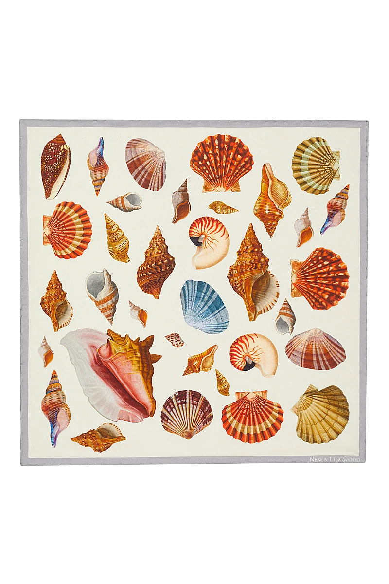 White Shell Collection Pocket Square 1 White Shell Collection Pocket Square