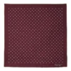 Burgundy Polka Dot Pocket Square